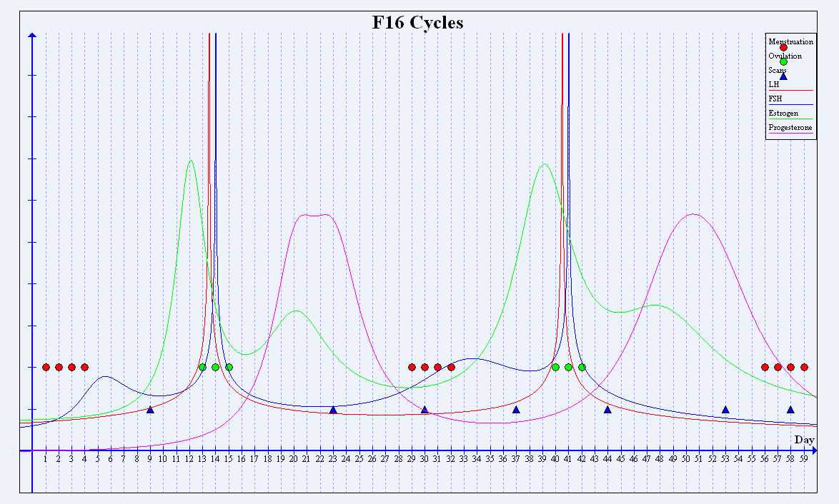 Cyclic Correlation Chart